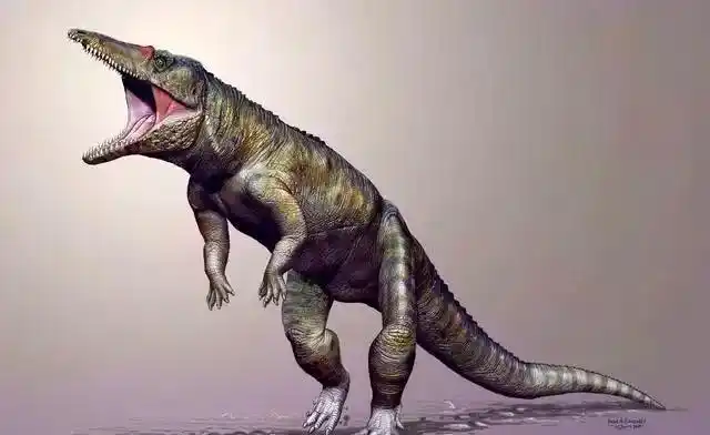 59种鳄鱼大全喜欢动物的必须收藏