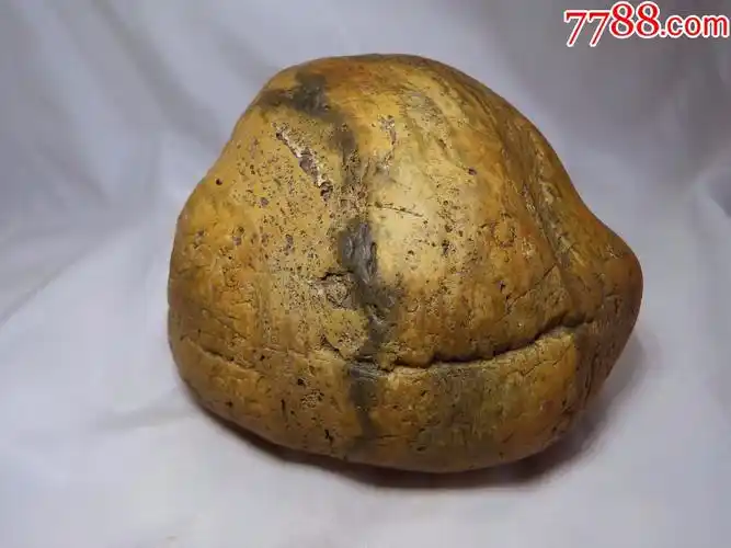 黄金陨石"萌娃"