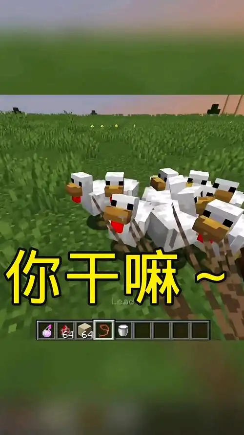 我的世界#这是鸡哥降落伞