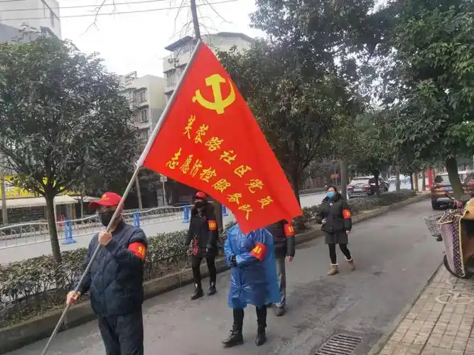 一个支部就是一座堡垒一名党员就是一面旗帜记苏祠街道芙蓉路社区党