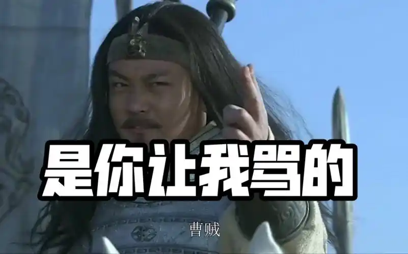 曹贼是你让我骂的我能客气