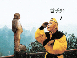 西游记孙悟空首长好别说我认识你gif动图_动态图_表情包下载_soogif