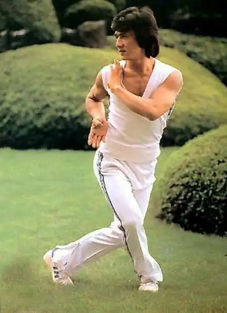 成龙练武旧照,身手矫健,招招逼真,还不赶快收藏?