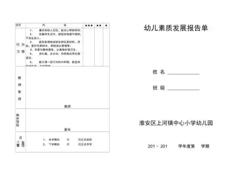 幼儿园素质发展报告书