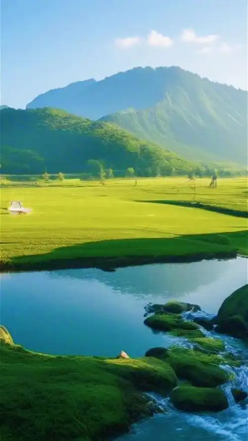 望眼欲穿的风景,心静了