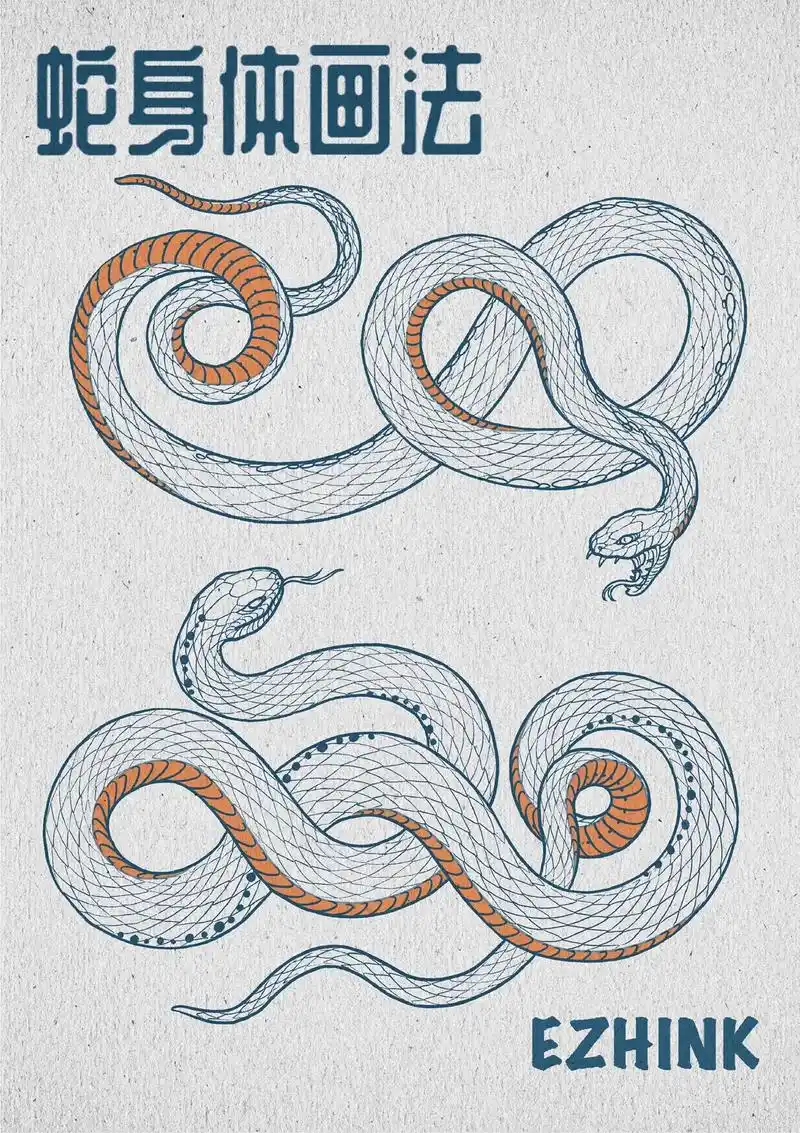 蛇的身体一次搞清楚!有想学的传统内容可以留言 #画画 #纹身 - 抖音