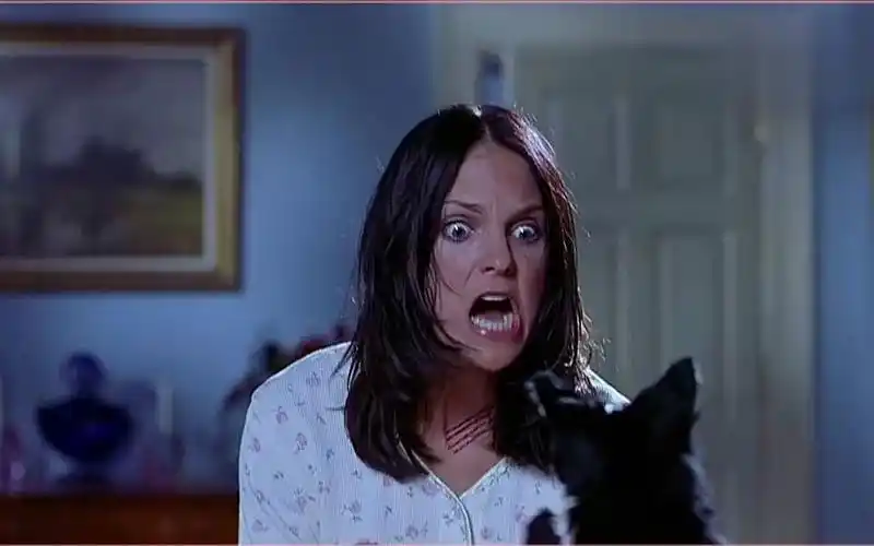 恶搞恐怖片《惊声尖笑2》看完还能吃下饭的,我敬你是个帅哥