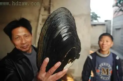12斤重河蚌你见过没有?