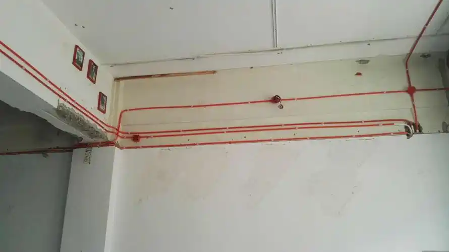 张(先生)的新家