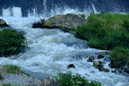 420_280gif 动态图 动图