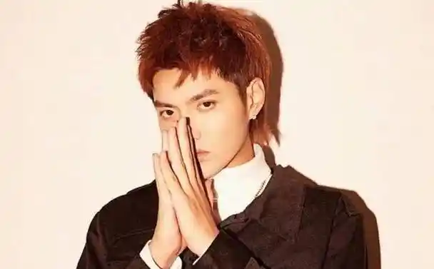 33岁吴亦凡二审维持原判,有期徒刑13年,更多案件细节被公开_判决_受害