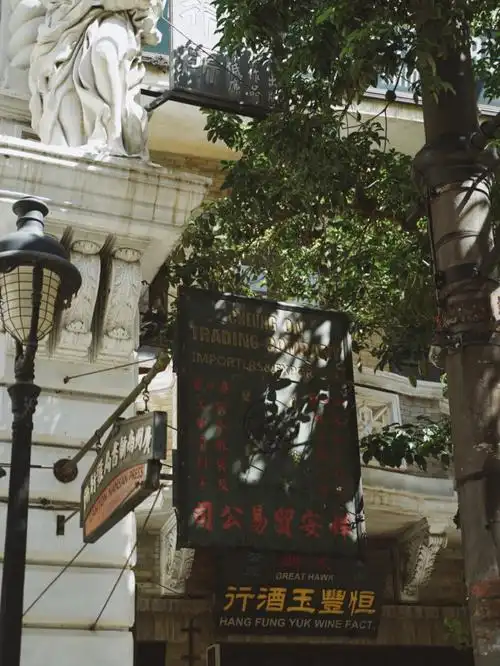 海口不看海看哥哥冯小刚电影公社