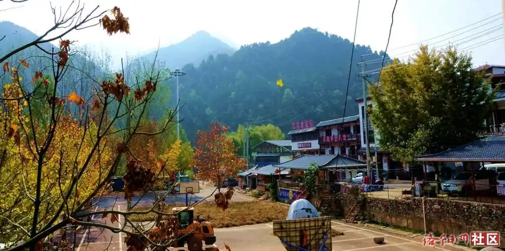 幽谷叠翠花倍馨再游豫西大峡谷