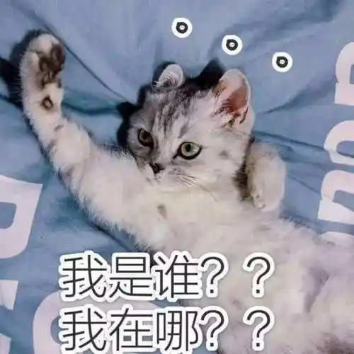 谁裤子拉链没拉把你露出来了熊猫头疑问表情包