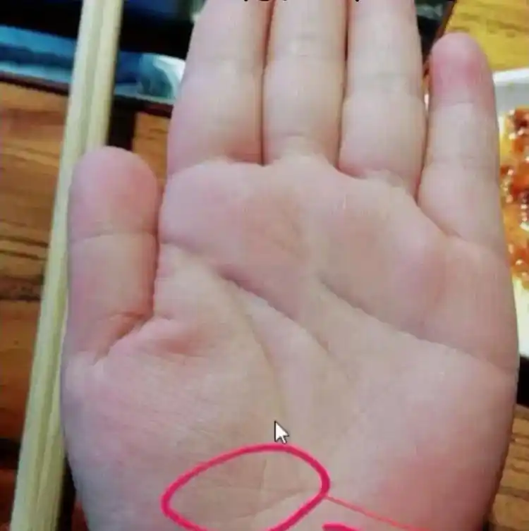 双鱼纹:有这样的掌纹的人往往能力过人,智慧超群,而