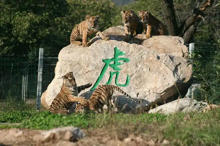 秦岭野生动物园