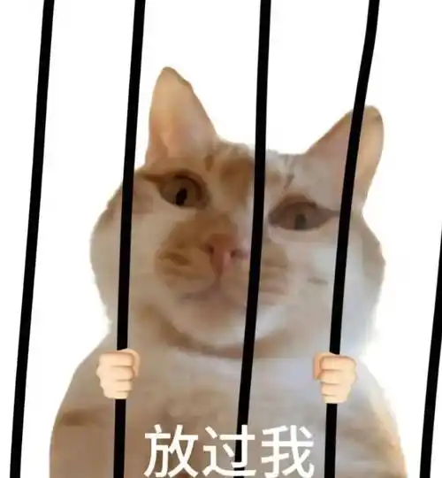 我来修理你丨第937期喵表情包