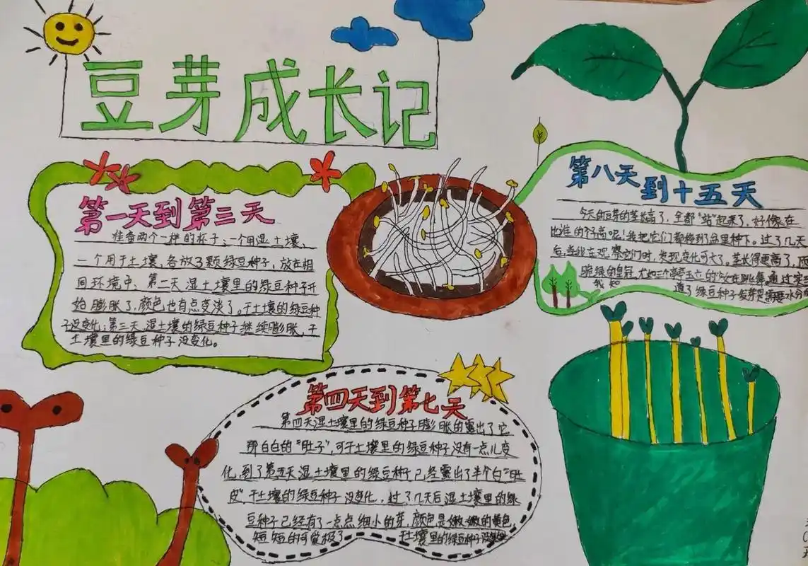 [五下]绿豆苗生长小报 教科版五年级下册第一单元 观察绿豆苗的生长