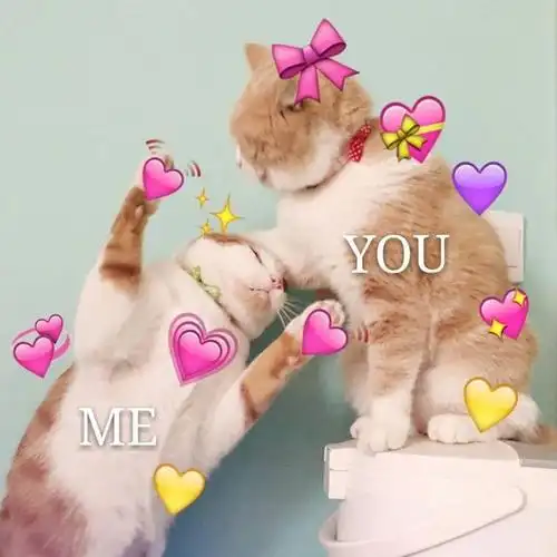 爱就像晴空万里我好喜欢好喜欢你表情包