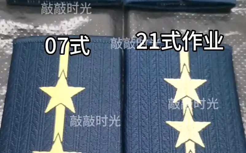 解放军常规的是07式套式肩章(含士兵与军官),只有军官才有21式作业服