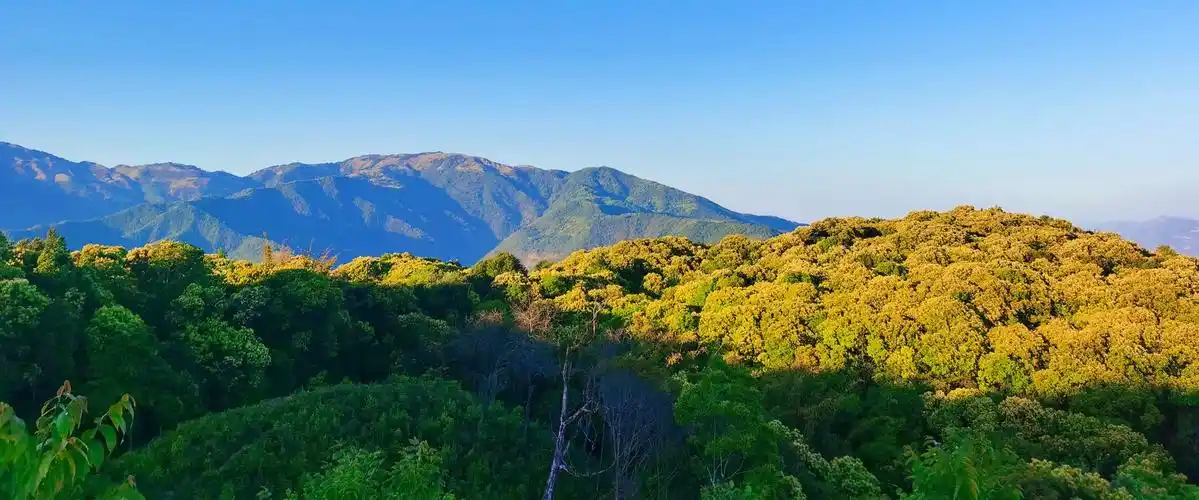 龙陵小黑山省级自然保护区五字法绷紧森林防火安全弦