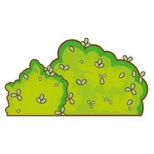 春天的草丛大自然树叶灌木丛春天植物矢量插图照片