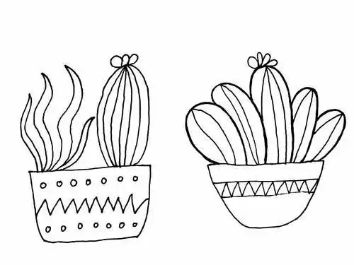 植物简笔画盆栽植物简笔画