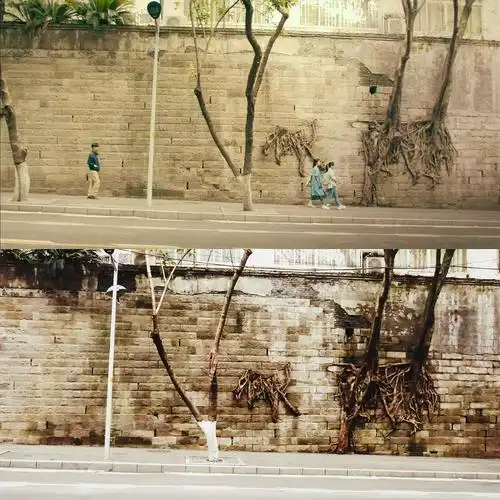 打卡《少年的你》