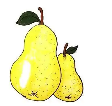 橙子简笔画 橙子简笔画彩色