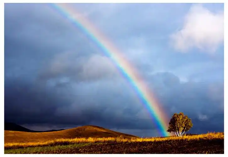 风雨之后见彩虹