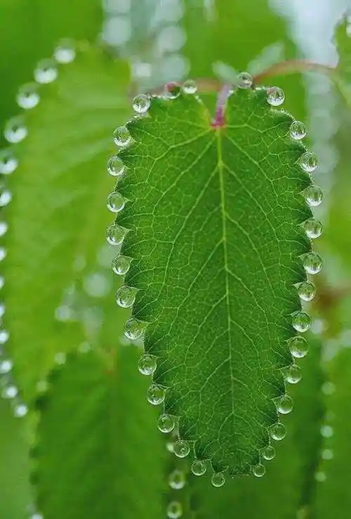 35幅整整齐齐的照片,给人莫名的满足感,让人舒服极了