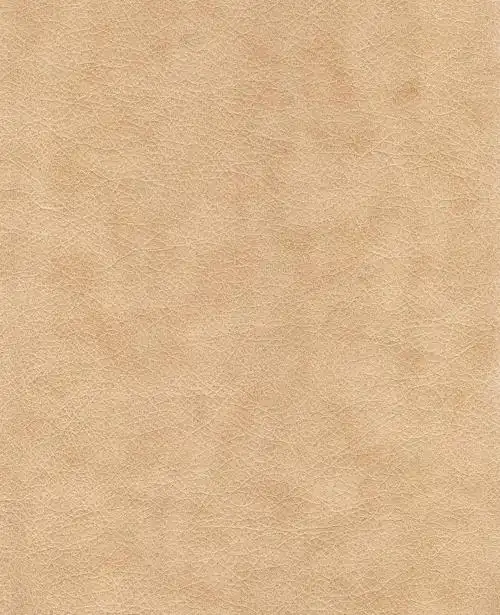 皮革纹理皮肤纹理材质装饰背景图片