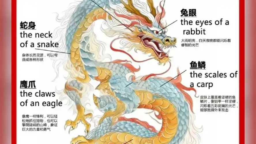 龙的特征:九不像