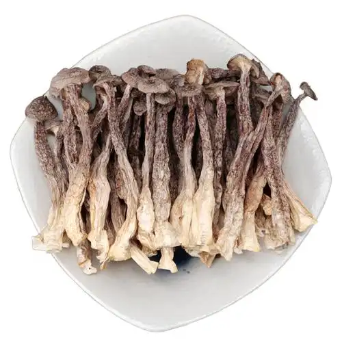 云南特产野生鹿茸菇松脆适口500g