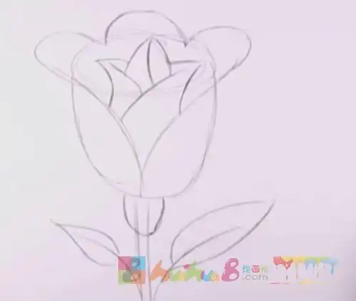 沙漠玫瑰简笔画视频