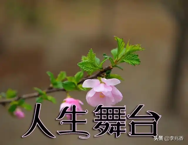 人生舞台正能量的句子表演完后发朋友圈的话