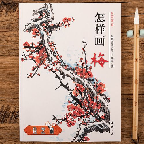 怎样画梅国画写意梅花画法初学者入门教程构图技法 王传贺【6月25日发