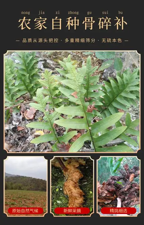 百姓中药材 骨碎补 毛姜 申姜 骨碎补粉 新鲜干货500g克【图片 价格