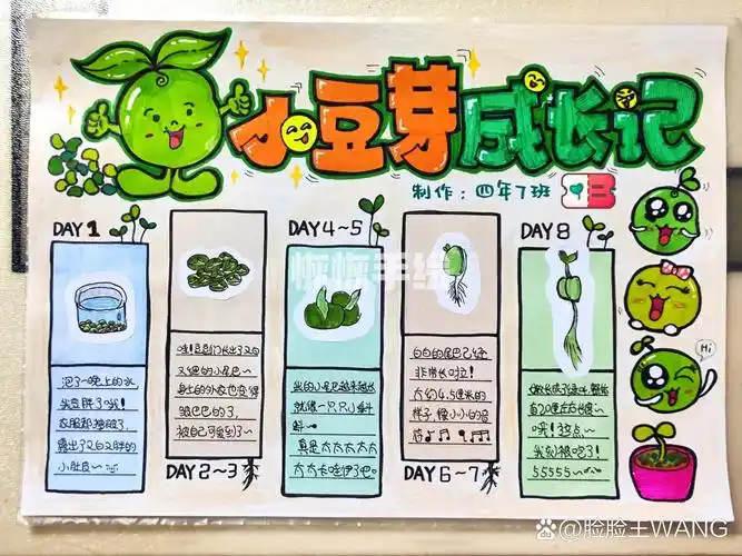 手抄报系列·小豆芽成长记 感觉很久没写字了,其实也不完全是