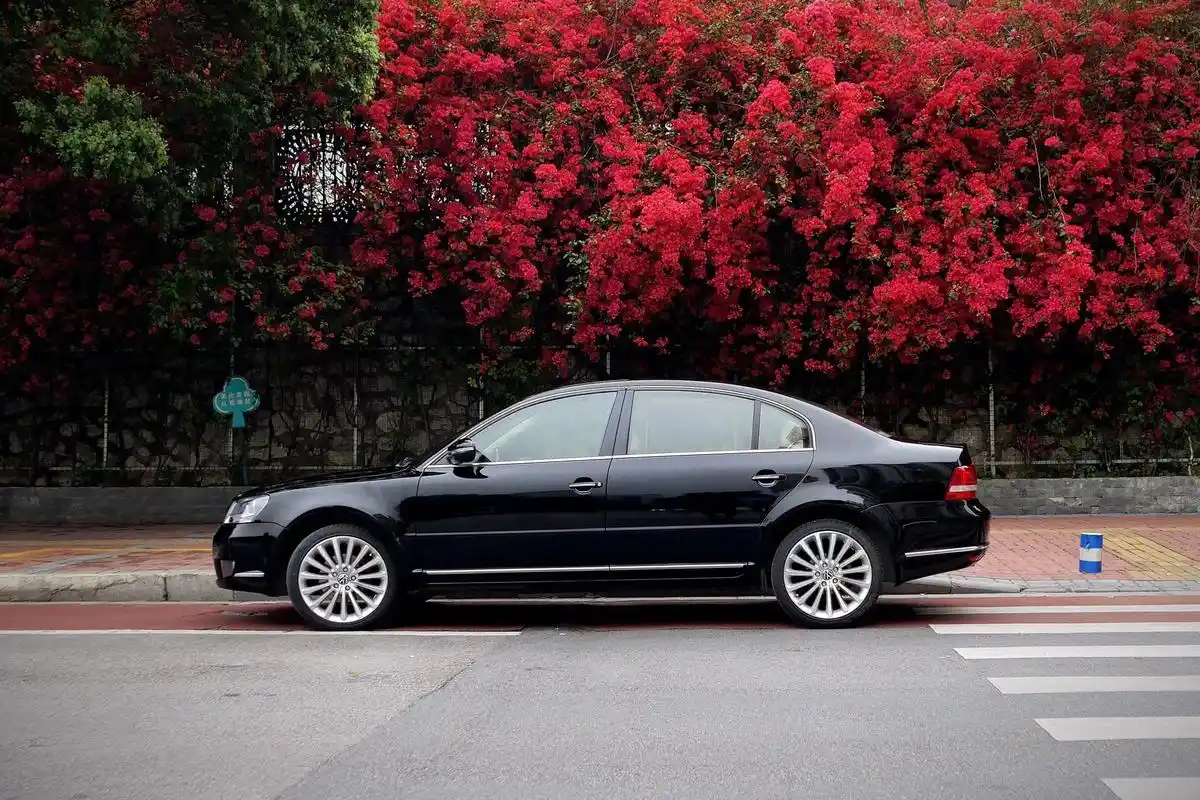 分享一张你爱车的照片 #b5#帕萨特#领驭#新领驭  忍不 - 抖音