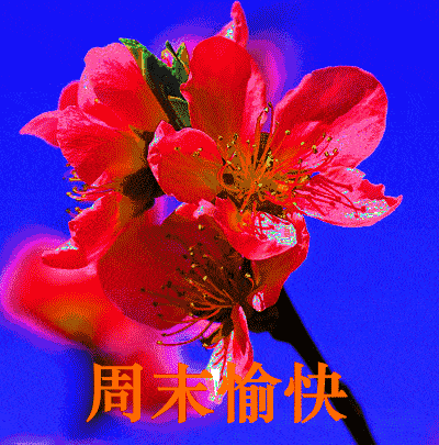 清晨祝福