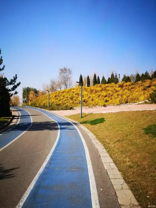 周末自驾游在路上之榆次百草坡森林植物园