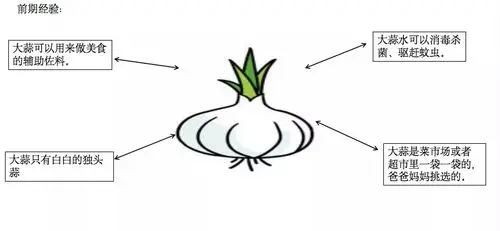 【清华园·大三班】(大蒜成长记)