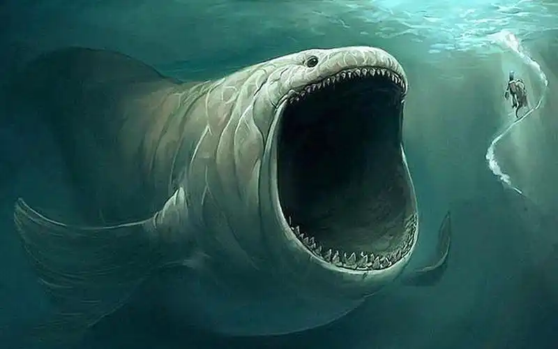 《盗墓笔记之秦岭神树》恐怖的食人巨鱼哲罗鲑的秘密!