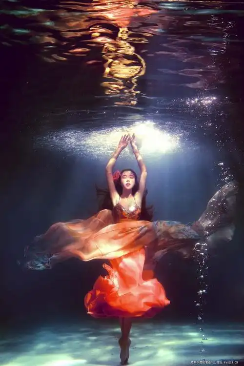 水下写真照片-水下写真图片-水下写真素材