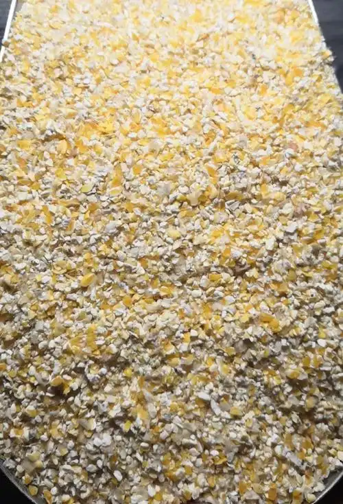 潼南鸡饲料玉米多少钱一斤鸡饲料玉米多少钱一斤2022已更新今天推荐