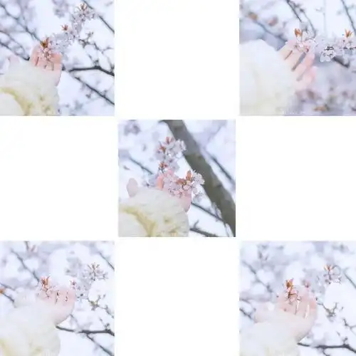 高赞朋友圈养成记