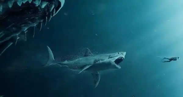 已灭绝的十大鲨鱼外貌凶残咬合力强体积巨大