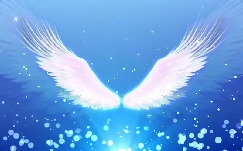 翅膀背景视频素材