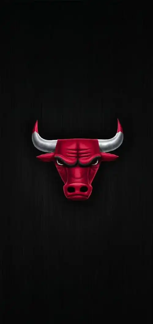 是一只有爪印的篮球标志,个人还是比较喜欢猛龙队的队标的,简约霸气